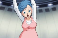 Dragon Ball Super Épisode 83 (15) Dragon Ball Super Épisode 83 (15)