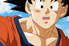 Dragon Ball Super Épisode 83 (46) Dragon Ball Super Épisode 83 (46)