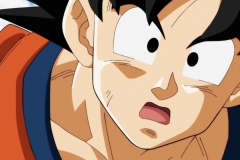 Dragon Ball Super Épisode 83 (47) Dragon Ball Super Épisode 83 (47)