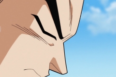 Dragon Ball Super Épisode 83 (62) Dragon Ball Super Épisode 83 (62)