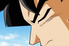 Dragon Ball Super Épisode 83 (63) Dragon Ball Super Épisode 83 (63)