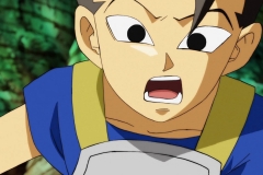 Dragon Ball Super Épisode 93 (14)