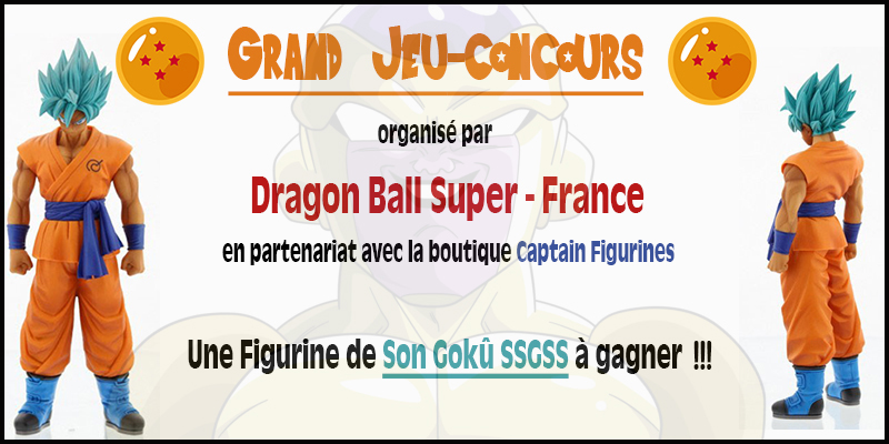 Dragon Ball Super France 23