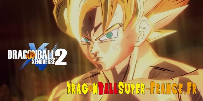 Des spoilers concernant Towa et une vidéo Namek Géant vs Oozaru dans Dragon Ball Xenoverse 2