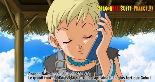 Dragon Ball Super Épisode 29 : Diffusion française