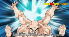 Dragon Ball Super Épisode 89 : Diffusion française