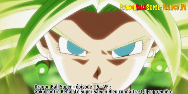 Dragon Ball Super Épisode 115 : Diffusion française