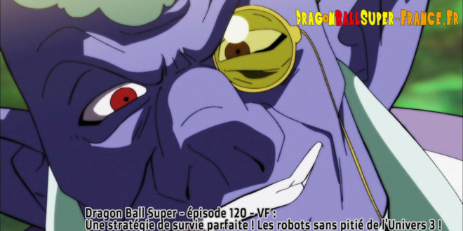 Dragon Ball Super Épisode 120 : Diffusion française