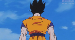 Et si Goku avait fusionné avec Gohan ?